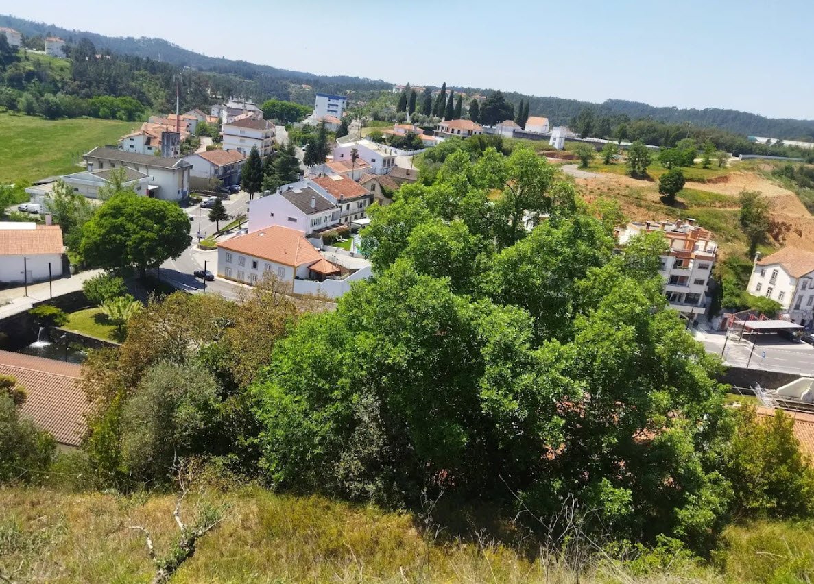 Castelo da Sertã, Portugal